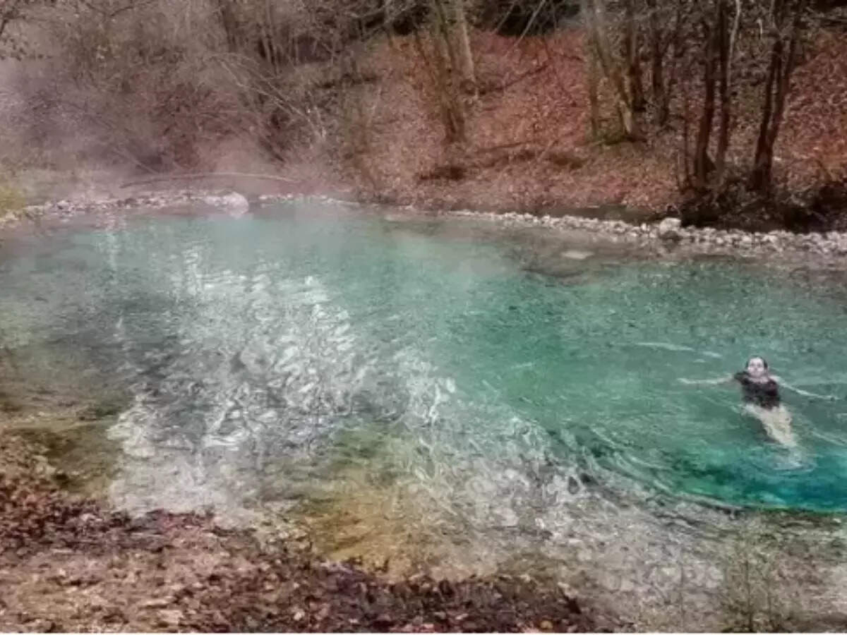 pond pond