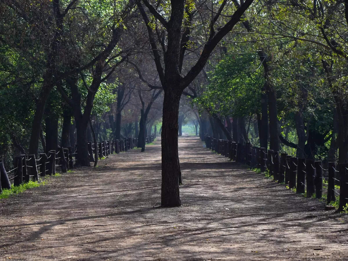 Sultanpur National Park's entrance Sultanpur National Park's entrance