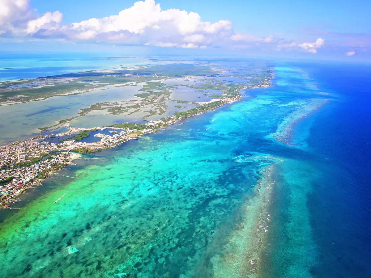 Belize reef Belize reef