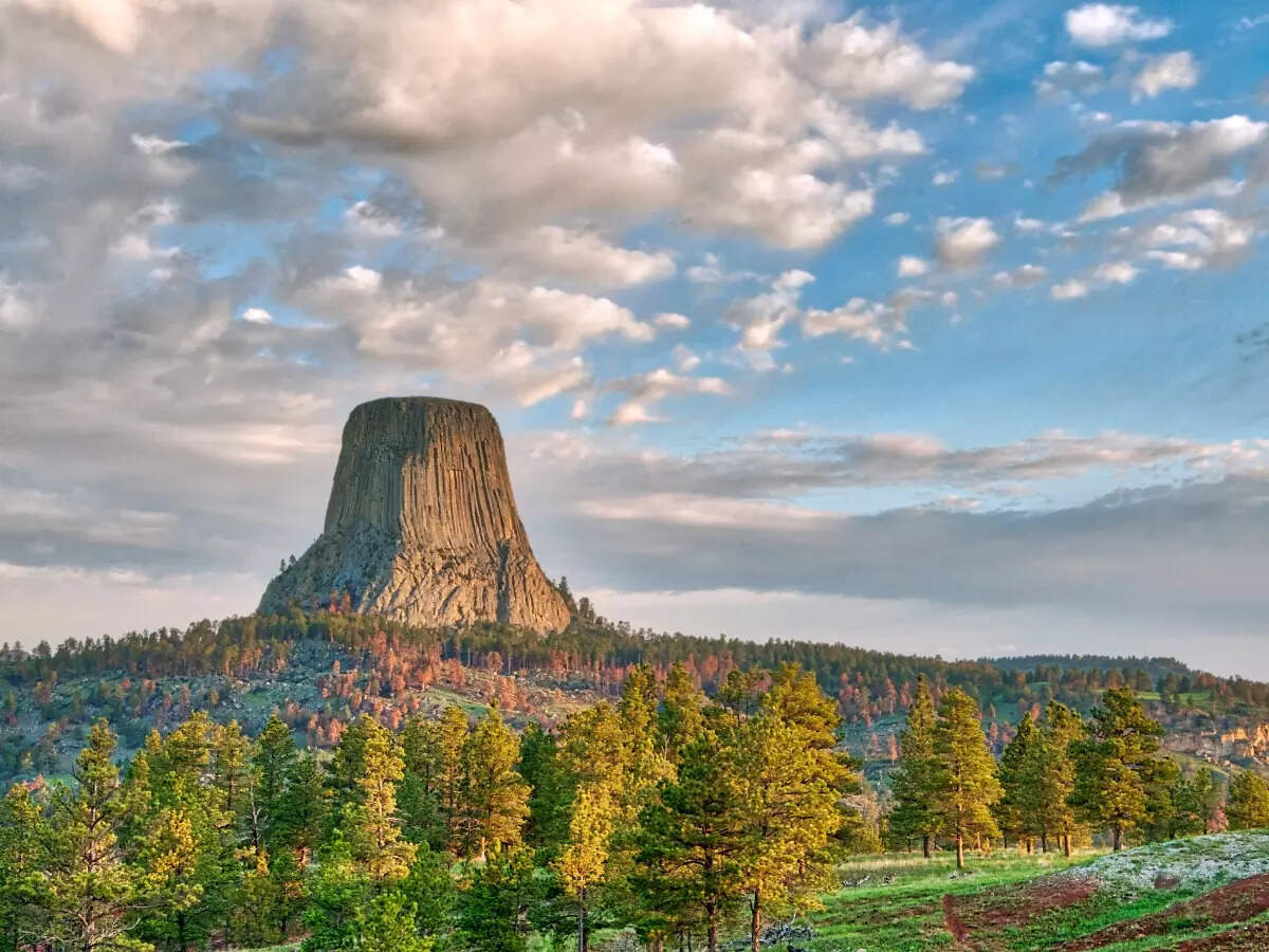 Devil's Tower Devil's Tower
