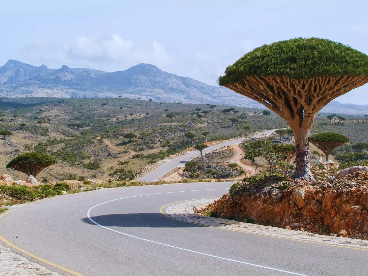 Socotra Island in Yemen Socotra Island in Yemen
