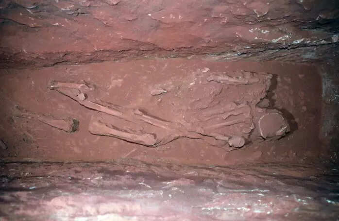 skeleton skeleton