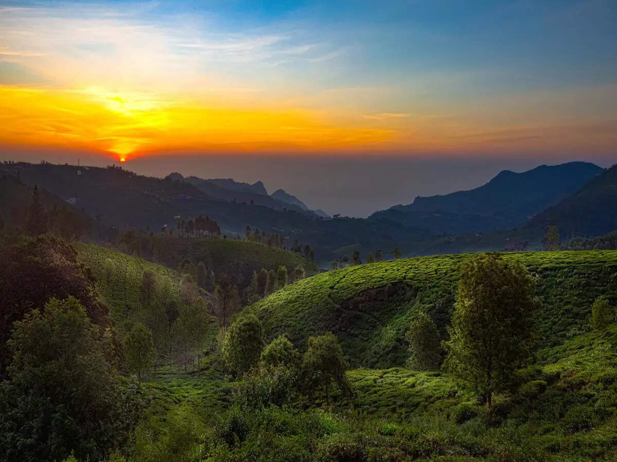 Ooty Ooty