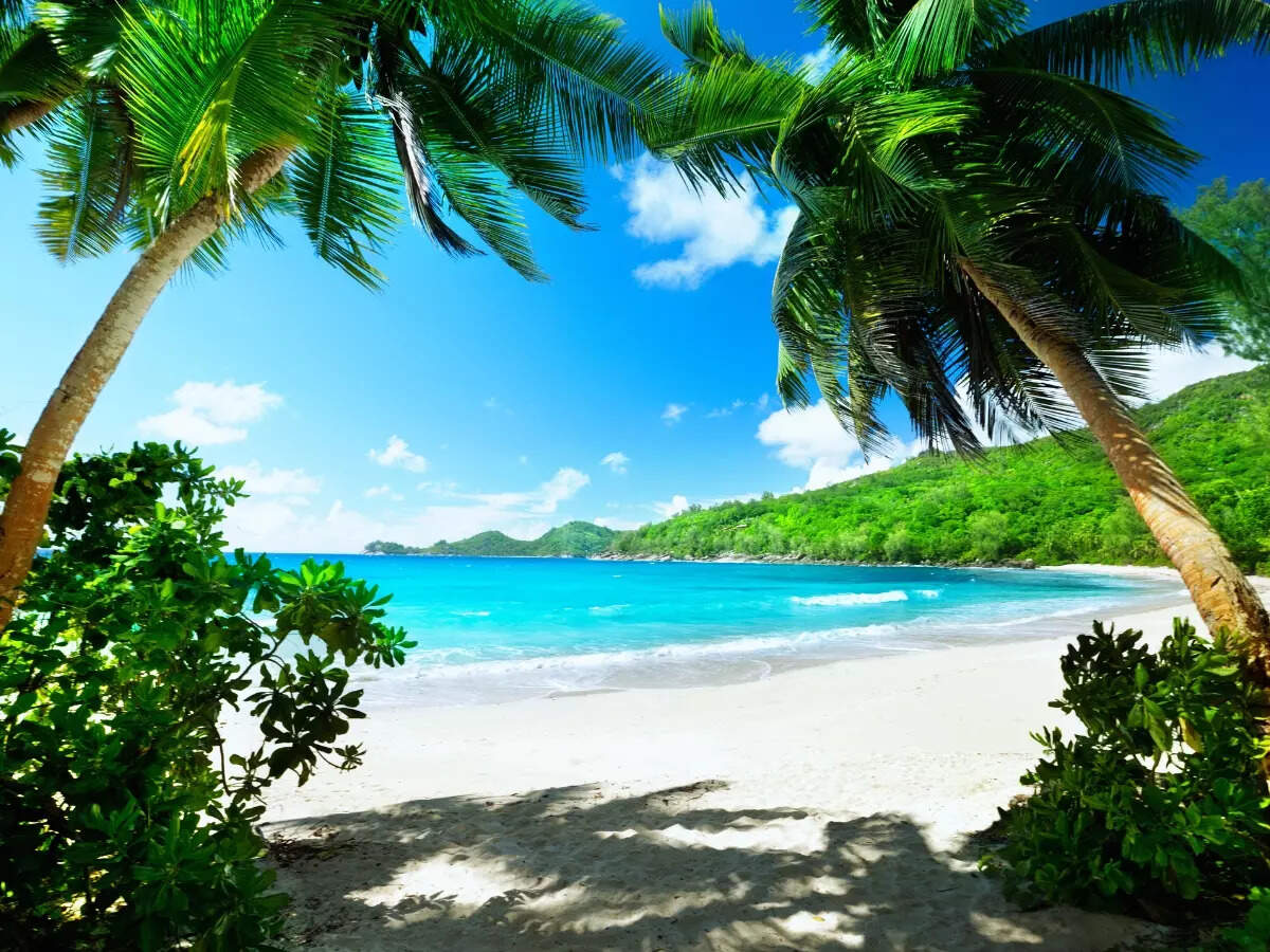 Romantic beach in Seychelles Romantic beach in Seychelles