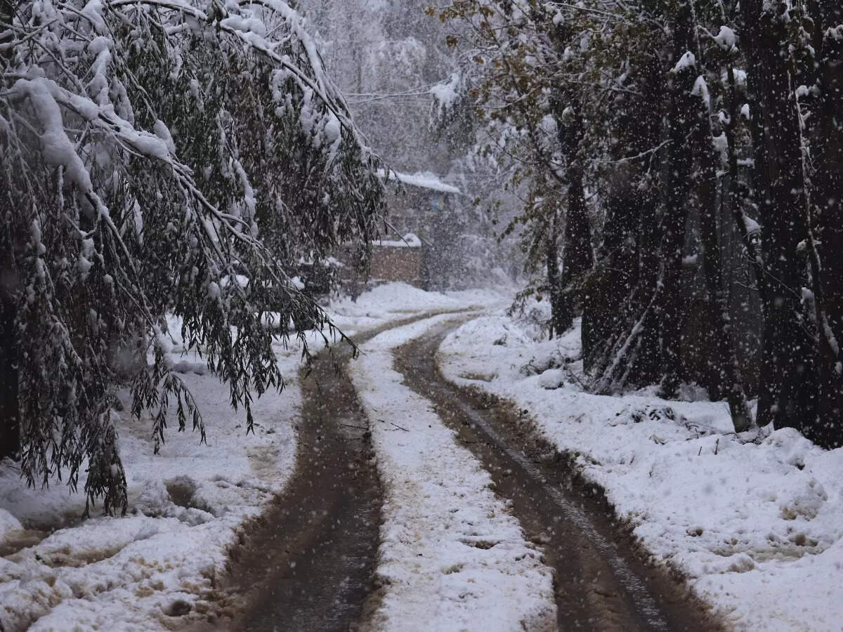 Snowfall in Kashmir Snowfall in Kashmir