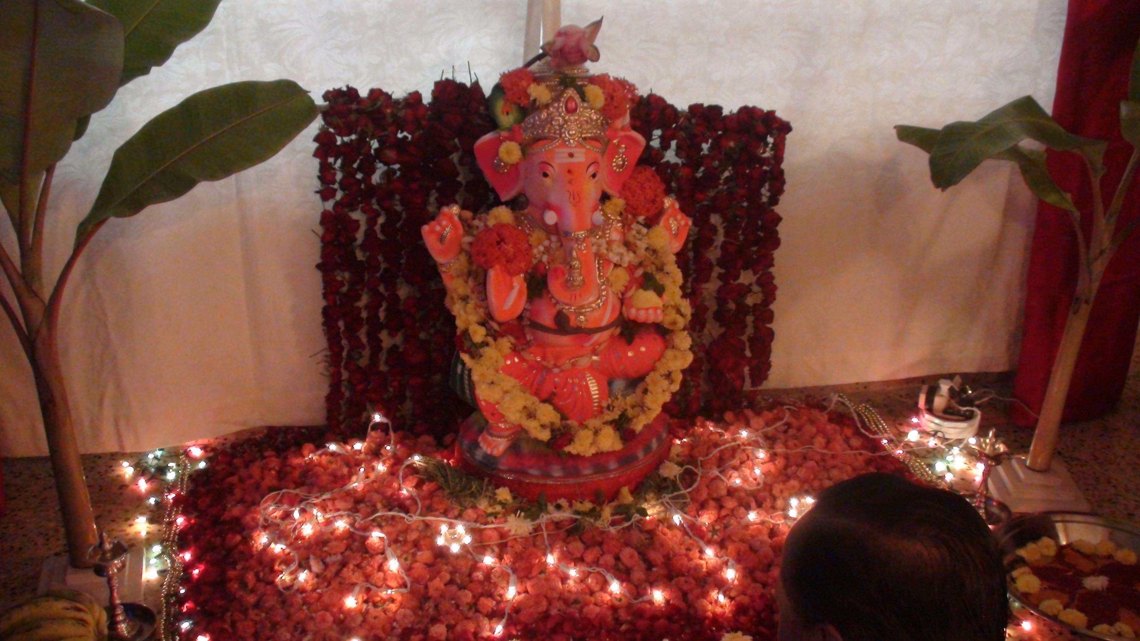 Green Ganeshas becoming more popular