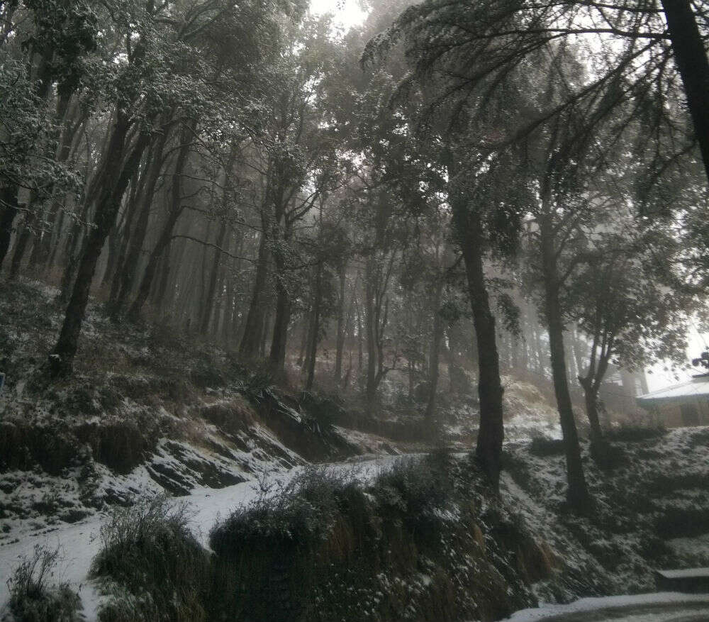 mukteshwar mukteshwar