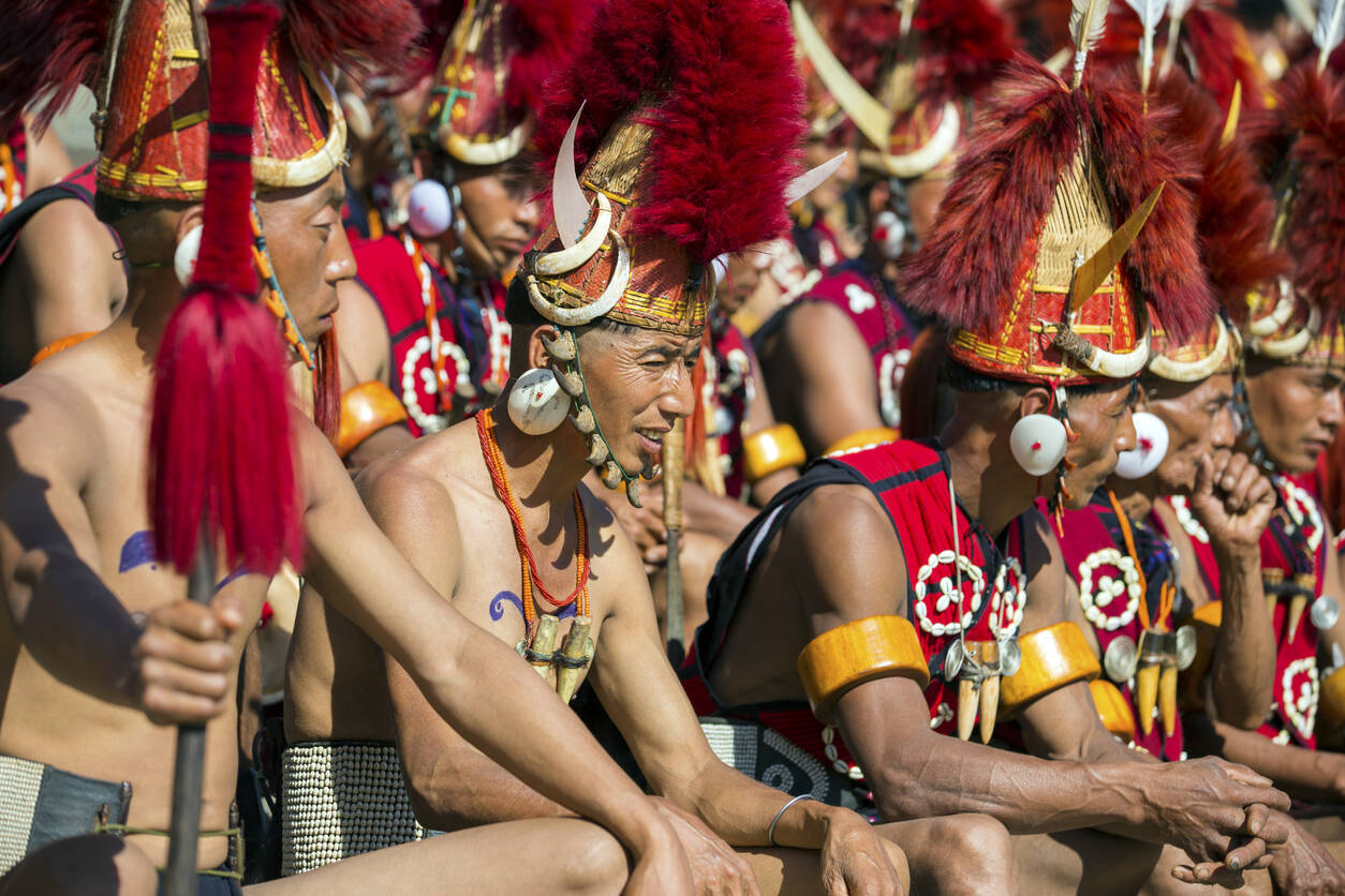 hornbill hornbill