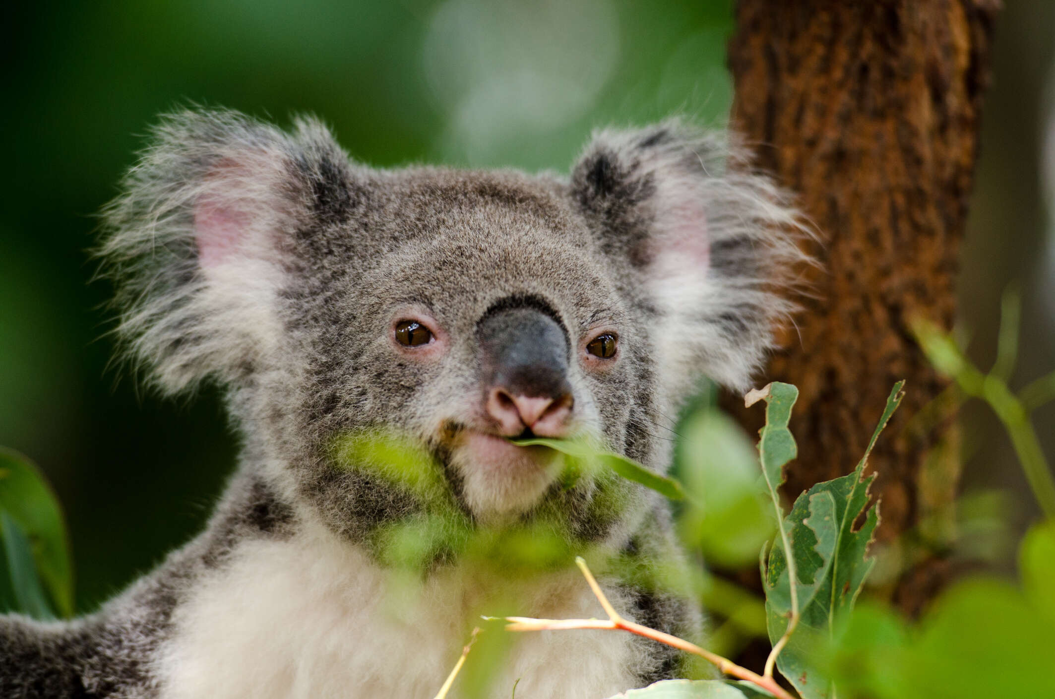 iStock-487691353 iStock-487691353