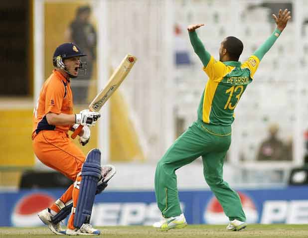 South Africa vs Netherlands