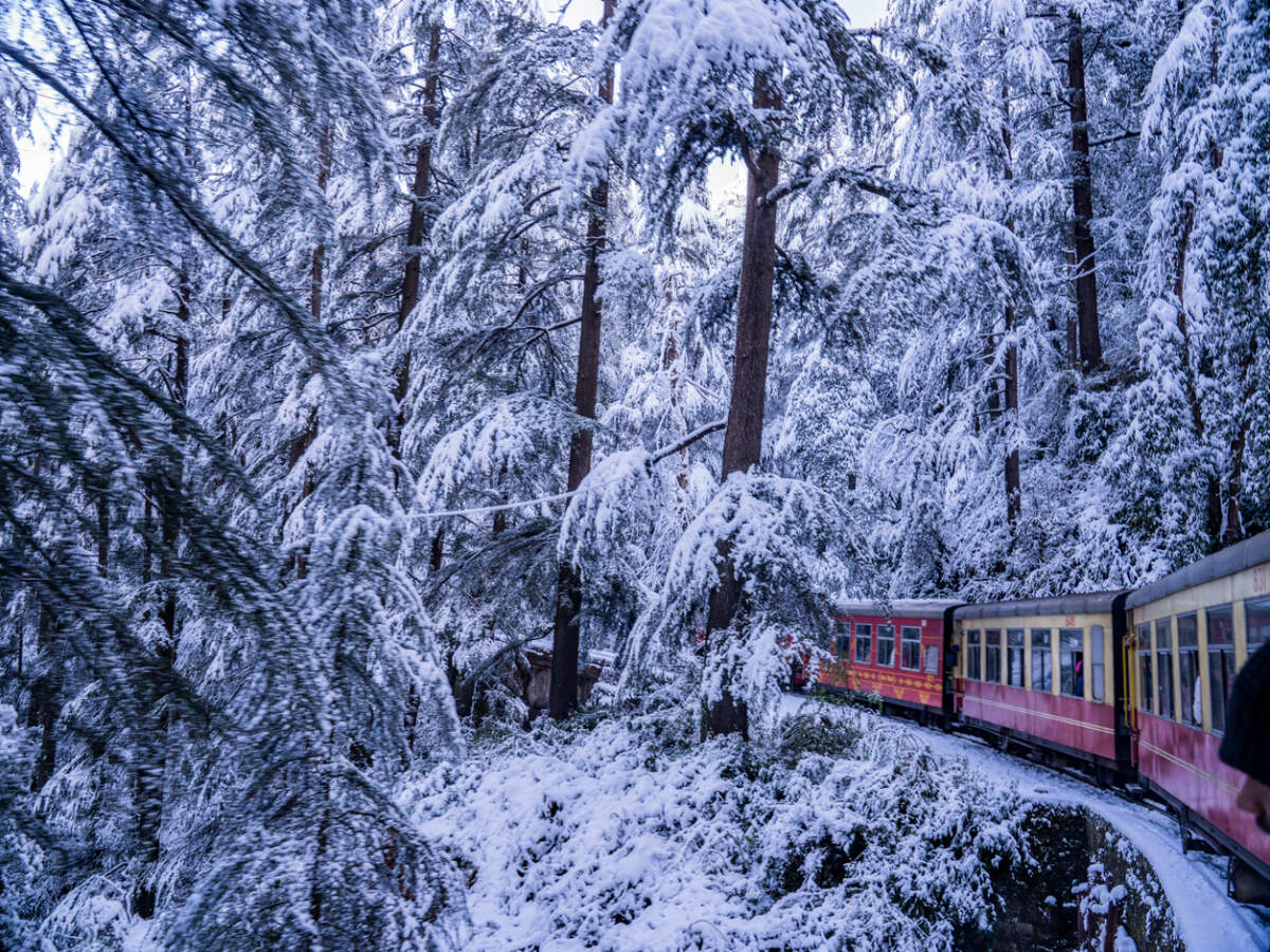 Shimla toy train Shimla toy train