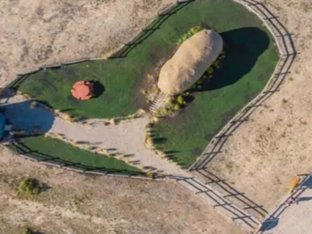 potato hotel potato hotel