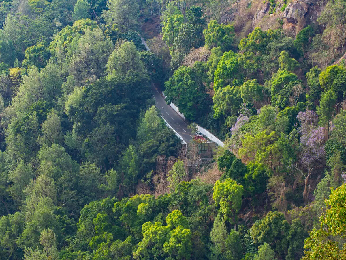 Yercaud road Yercaud road