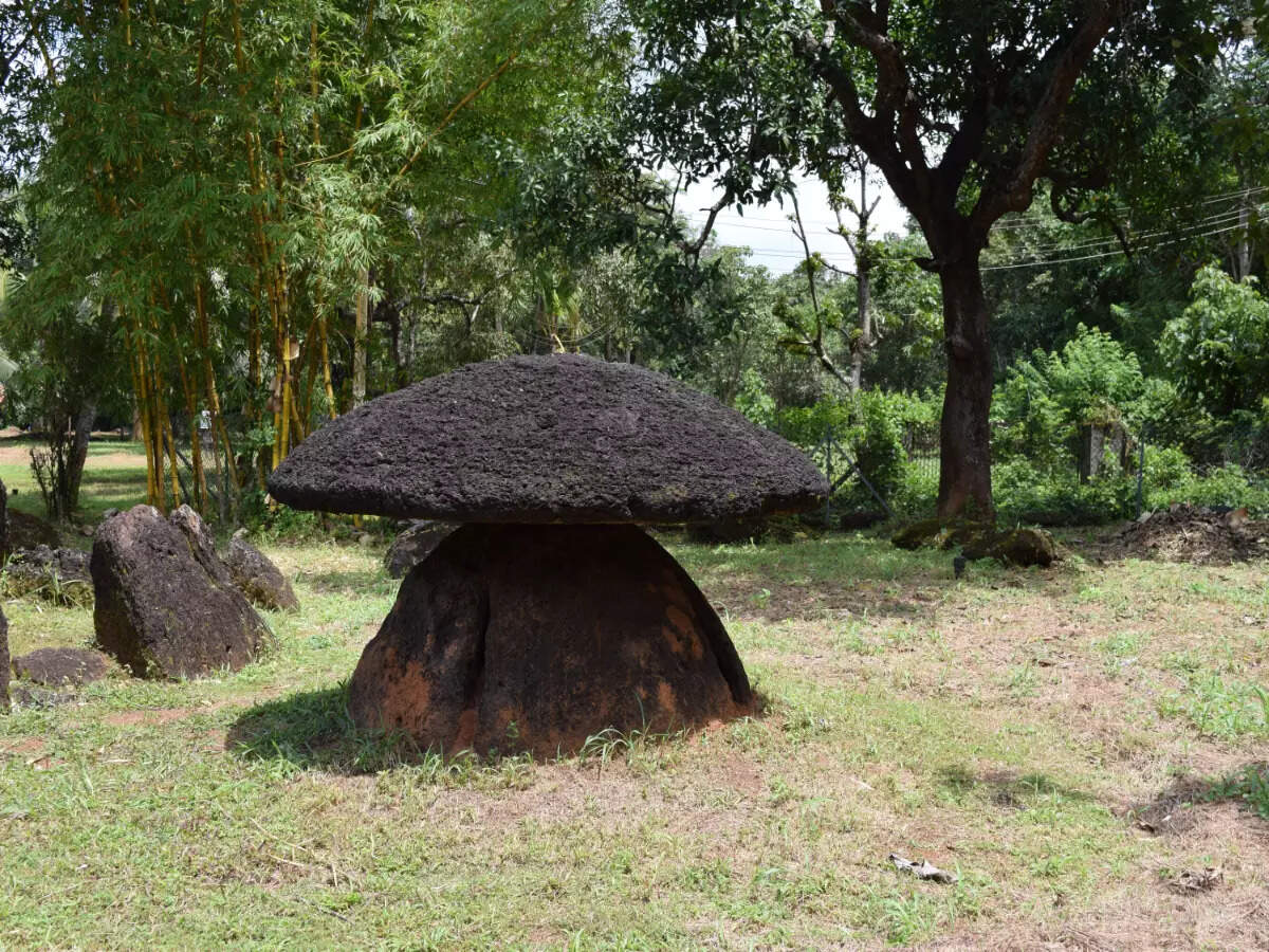 Kudakkallu Parambu