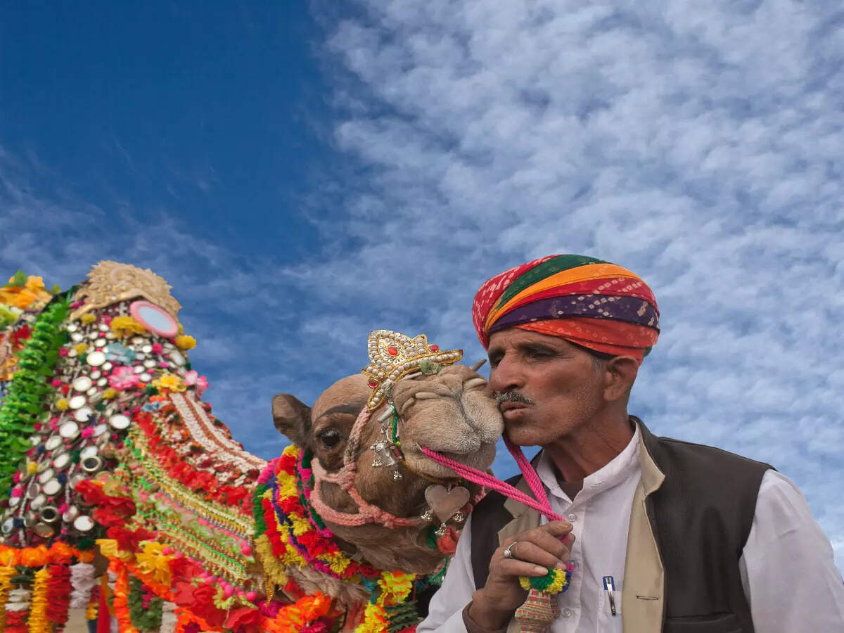 Bikaner Camel Festival