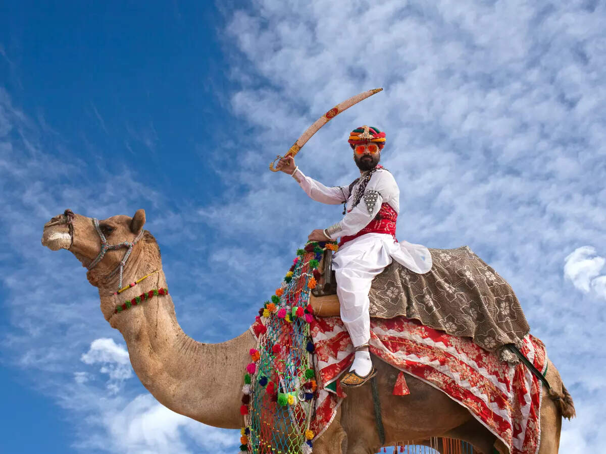 At Bikaner Camel Festival At Bikaner Camel Festival