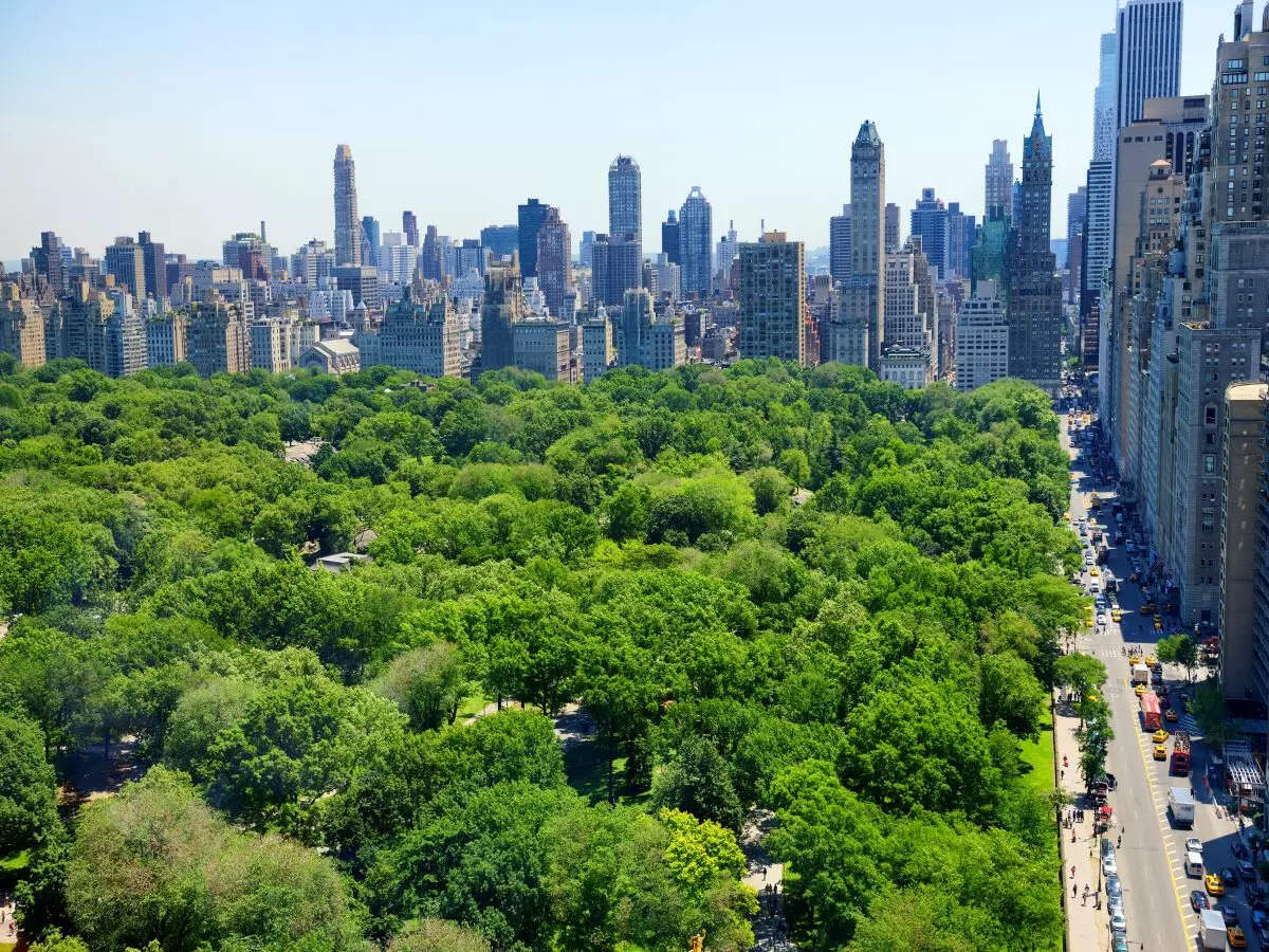 new york city new york city