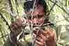 BSF troops foil infiltration bid in Jammu sector