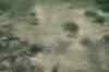 Sri Lanka: Civilians flee LTTE zone