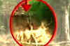 48 hours on, dacoit takes on 400 cops
