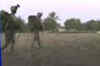 US marines die in Afghanistan blast