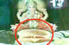 Burger King's offensive ad outrages Hindus