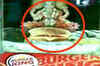 Burger King apologises to Hindus for 'offensive ad'