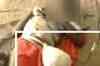 RPF jawan throws boy out of running train