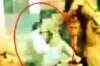 Pak army's brutality caught on camera