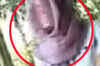 Police to provide protection to Goa rape victim