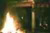 Maoists set fire to deer park in West Bengal