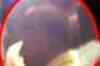 Mumbai top cop at Chhota Rajan's party