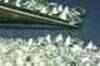 China harasses arrested Indian traders