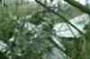 IAF MiG-21 crashes in WB, pilot safe