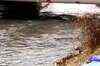 Oil spill reached major Italian river