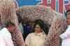 Garland made of Rs.1000 notes for Mayawati