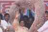 I-T department to probe Mayawati's cash garland