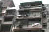 Firing in Mumbai suburb, 16-year-old killed
