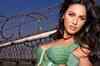 Megan Fox out of 'Transformers 3' 