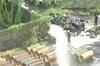 Chlorine gas leak in Mumbai, several fall sick
