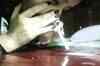 Exposed: Drugs just a call away in Bangalore