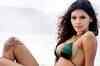 Sherlyn to launch bikini collection
