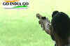India gets 13th CWG gold
