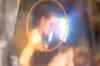 Ranbir kisses openly in public