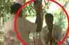 UP: Police brutality caught on camera