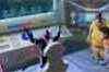 Trailer:Toonpur Ka Superhero