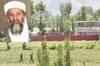 Osama was unarmed when killed, says US