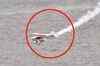 Plane crashes into river during air show in Poland
