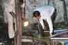 Mumbai blasts: No specific leads yet