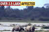 Floods wreak havoc in Assam